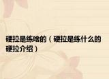 硬拉是练啥的（硬拉是练什么的 硬拉介绍）