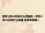 阳历1月24日是什么星座的（农历1月24日是什么星座 赶紧来看看）