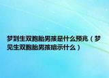 梦到生双胞胎男孩是什么预兆（梦见生双胞胎男孩暗示什么）