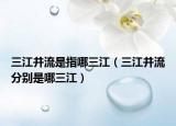 三江并流是指哪三江（三江并流分别是哪三江）
