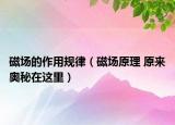 磁场的作用规律（磁场原理 原来奥秘在这里）