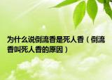 为什么说倒流香是死人香（倒流香叫死人香的原因）