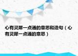 心有灵犀一点通的意思和造句（心有灵犀一点通的意思）