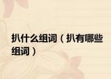 扒什么组词（扒有哪些组词）