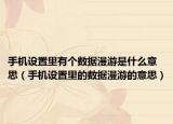 手机设置里有个数据漫游是什么意思（手机设置里的数据漫游的意思）