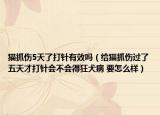 猫抓伤5天了打针有效吗（给猫抓伤过了五天才打针会不会得狂犬病 要怎么样）