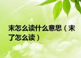 末怎么读什么意思（末了怎么读）
