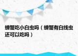 螃蟹吃小白虫吗（螃蟹有白线虫还可以吃吗）