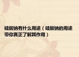 硅酸钠有什么用途（硅酸钠的用途 带你真正了解其作用）