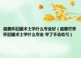 魔兽怀旧服术士学什么专业好（魔兽世界怀旧服术士学什么专业 学了不会吃亏）