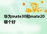 华为mate30和mate20哪个好