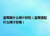 蓝莓跟什么榨汁好吃（蓝莓搭配什么榨汁好喝）