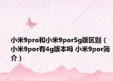 小米9pro和小米9por5g版区别（小米9por有4g版本吗 小米9por简介）