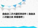 自由泳二次大腿标准动作（自由泳二次腿口诀 来看看吧）
