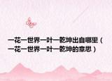 一花一世界一叶一乾坤出自哪里（一花一世界一叶一乾坤的意思）