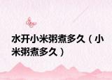 水开小米粥煮多久（小米粥煮多久）
