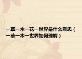 一草一木一花一世界是什么意思（一草一木一世界如何理解）