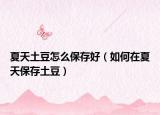 夏天土豆怎么保存好（如何在夏天保存土豆）