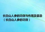 长白山人参的功效与作用及禁忌（长白山人参的功效）