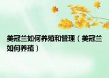 美冠兰如何养殖和管理（美冠兰如何养殖）