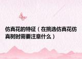 仿真花的特征（在挑选仿真花仿真树时需要注意什么）