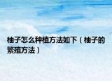 柚子怎么种植方法如下（柚子的繁殖方法）