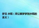 梦见 水稻（周公解梦梦到水稻的含义）