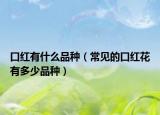 口红有什么品种（常见的口红花有多少品种）
