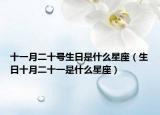 十一月二十号生日是什么星座（生日十月二十一是什么星座）