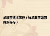 羊肚菌速冻保存（鲜羊肚菌如何冷冻保存）