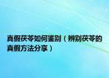 真假茯苓如何鉴别（辨别茯苓的真假方法分享）