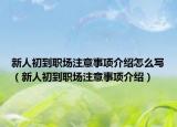 新人初到职场注意事项介绍怎么写（新人初到职场注意事项介绍）