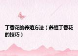 丁香花的养殖方法（养殖丁香花的技巧）
