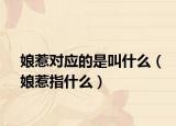 娘惹对应的是叫什么（娘惹指什么）