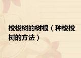 梭梭树的树根（种梭梭树的方法）