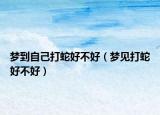 梦到自己打蛇好不好（梦见打蛇好不好）