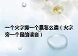 一个火字旁一个昆怎么读（火字旁一个昆的读音）