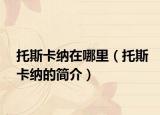 托斯卡纳在哪里（托斯卡纳的简介）