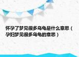 怀孕了梦见很多乌龟是什么意思（孕妇梦见很多乌龟的意思）