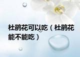 杜鹃花可以吃（杜鹃花能不能吃）