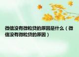 微信没有微粒贷的原因是什么（微信没有微粒贷的原因）