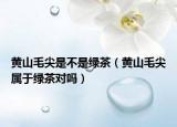 黄山毛尖是不是绿茶（黄山毛尖属于绿茶对吗）