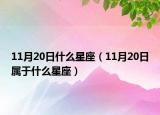 11月20日什么星座（11月20日属于什么星座）