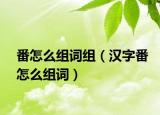 番怎么组词组（汉字番怎么组词）