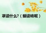 䓬读什么?（鲴读啥呢）