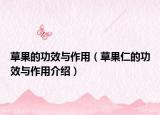 草果的功效与作用（草果仁的功效与作用介绍）
