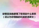 却苦笑说我都懂了歌词是什么意思（还以为你懂我的玩笑歌词原文）
