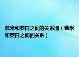 菰米和茭白之间的关系图（菰米和茭白之间的关系）