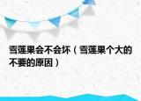 雪莲果会不会坏（雪莲果个大的不要的原因）