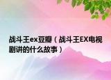 战斗王ex豆瓣（战斗王EX电视剧讲的什么故事）